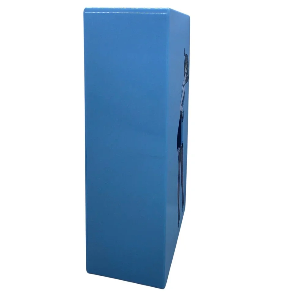 Vintage Style Pin Up Girl Tissue Box Cover Blue Wall Mount Retro Kitsch Decor